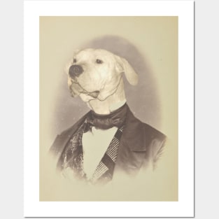 Gentleman Dogo Argentino Posters and Art